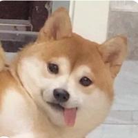 用户6980148240775头像