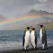 雨溪的小跟班的个人资料头像