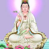 风中孤影358头像