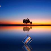 佛魔魔佛的个人资料头像