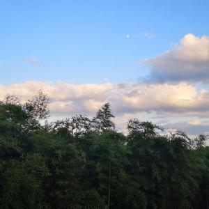 羽子头像