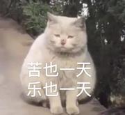 孬挠恼闹的个人资料头像