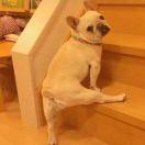 Treeyoung的个人资料头像