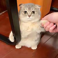用户8849969046135头像