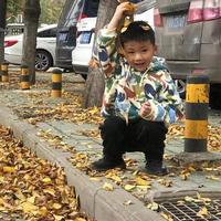 蔡皓皓头像
