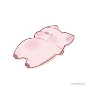 hxxyyyang的个人资料头像