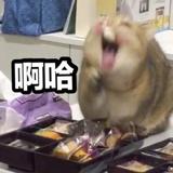 用户262398734头像