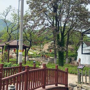 赵小花不花哨头像