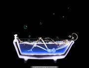 骑着蚂蚁追米兰的个人资料头像