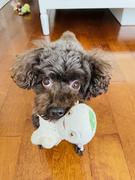 二当家的大当家的个人资料头像