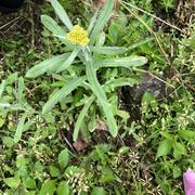 用户9877561220490的个人资料头像