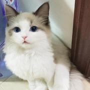 jovey的个人资料头像