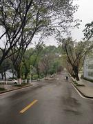 bituion的个人资料头像