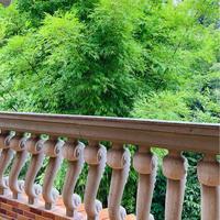 微光触控科技头像