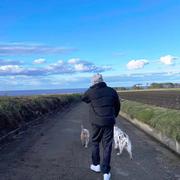 天融信张朋豪的个人资料头像