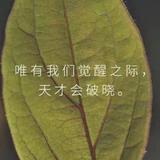 自由明镜观头像