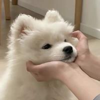 下次就放弃头像