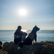 OnePiece的个人资料头像