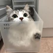 Madoor_Junior的个人资料头像