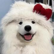 你算哪块小饼干啊的个人资料头像