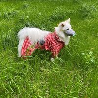 娟子1002头像
