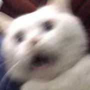 valderlight的个人资料头像