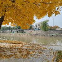 梦望故乡淡淡的云头像