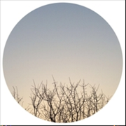 lsname的个人资料头像