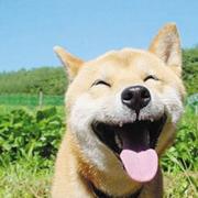 _NULL_的个人资料头像