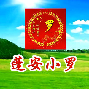 蓬安小罗头像