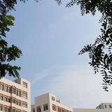 田野沐阳头像