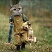 CentreChen的个人资料头像