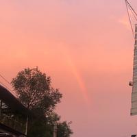 小王子剪影头像