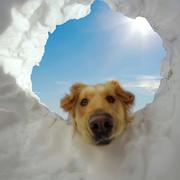 嘟嘟849的个人资料头像