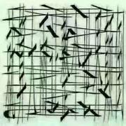 光丶的个人资料头像