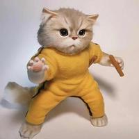 爱生活凯尔西3S4头像