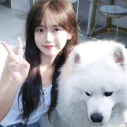 绵绵思远道的个人资料头像