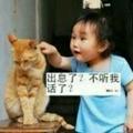 86凡尘68头像