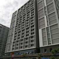 陆阿哥头像