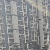 小金碎片26头像