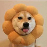 kaleyyang的个人资料头像