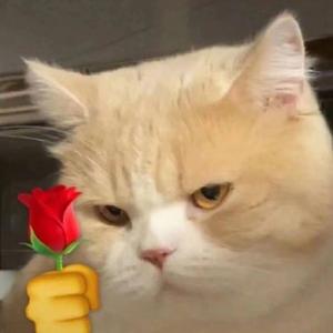 王总头像