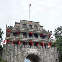 桂A来一波头像