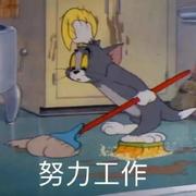 栀子花开了十一月也不远了的个人资料头像