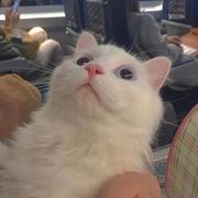 用户2081297909709的个人资料头像