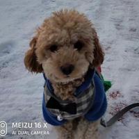 游戏人间90896129头像