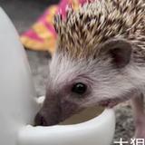 和暄And和珈头像