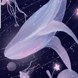 鲸落.头像