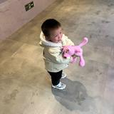 吹哨人浩辰辰的超级奶爸头像