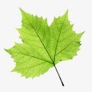 不是很有趣的灵魂的个人资料头像